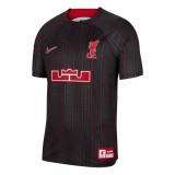 Mens Liverpool X Lebron James 2023/24 Jersey Anthracite/Gym Red