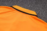 Mens Internacional Polo Shirt Orange 2023/24