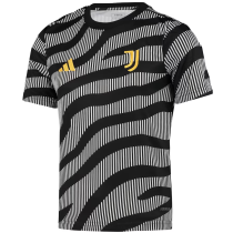 Mens Juventus Short Training Jersey Grey 2023/24
