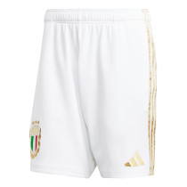 Mens Italy 125th  Anniversary Special Edition Shorts 2023