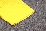 Mens Borussia Dortmund Short Training Suit Yellow 2023/24