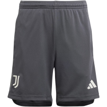 Mens Juventus Third Shorts 2023/24