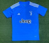 Mens Juventus Goalkeeper Blue Jersey 2023/24