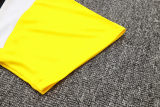 Mens Borussia Dortmund Short Training Jersey Yellow 2023/24