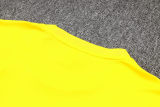Mens Borussia Dortmund Short Training Jersey Yellow 2023/24