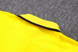 Mens Borussia Dortmund Polo Shirt Yellow II 2023/24