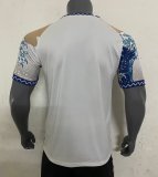 Mens Japan Anime Special Surfing Edition Jersey 2024