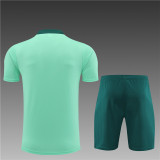 Kids Tottenham Hotspur Short Training Suit Light Green 2024/25