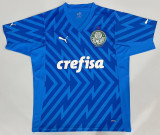 Mens Palmeiras Goalkeeper Blue Jersey 2024/25