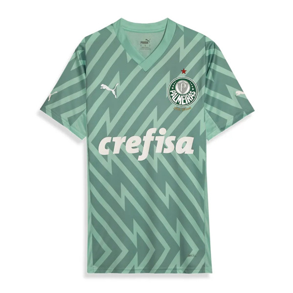 Mens Palmeiras Goalkeeper Green Jersey 2024/25