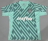 Mens Palmeiras Goalkeeper Green Jersey 2024/25