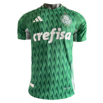 Mens Palmeiras Special Edition Green Authentic Jersey 2024 - Match