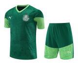 Mens Palmeiras Short Training Suit Dark Green 2024/25
