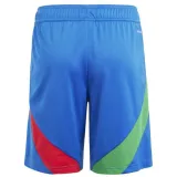 Mens Italy Away Shorts 2024