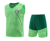 Mens Palmeiras Singlet Suit Light Green 2024/25