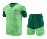 Mens Palmeiras Short Training Suit Light Green 2024/25