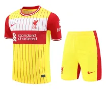 Mens Liverpool Short Training Suit Yellow 2024/25