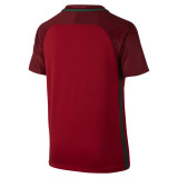 Mens Portugal Retro Home Jersey 2016