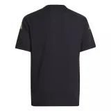 Mens Argentina Short Training Black Jersey 2024
