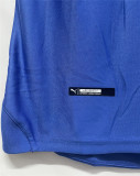 Mens Leicester City Retro Home Champions Jersey 2015/16