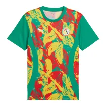 Mens Senegal Pre-Match Green Jersey 2025
