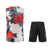 Mens Bayern Munich Singlet Suit Camoufladge 2025/26