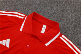 Mens Arsenal Polo Shirt Red 2025/26