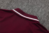 Mens Bayern Munich Polo Shirt Burgundy 2025/26
