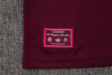 Mens Bayern Munich Polo Shirt Burgundy 2025/26