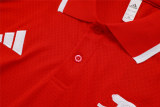 Mens Arsenal Polo Shirt Red 2025/26
