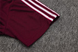 Mens Bayern Munich Polo Shirt Burgundy 2025/26