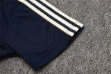 Mens Juventus Polo Shirt Royal 2025/26
