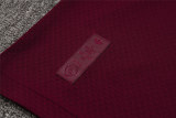 Mens Ajax Polo Shirt Burgundy 2025/26