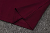 Mens Ajax Polo Shirt Burgundy 2025/26