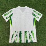 Mens Nigeria Home Jersey 2025