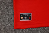Mens Premier League Polo Shirt Red 2025/26