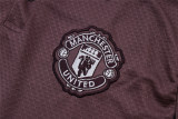 Mens Manchester United Polo Shirt Purplish Grey 2025/26