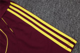 Mens Arsenal Polo Shirt Burgundy 2025/26