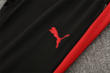 Mens Portugal Training Suit Red 2025