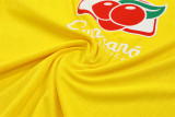 Mens Brazil Training Suit Yellow 2025