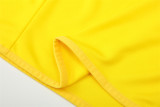 Mens Brazil Retro Training Top Yellow 2002