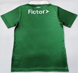 Mens Palmeiras Special Edition Green-White Jersey 2025/26