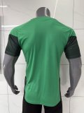 Mens Algeria Short Training Green Jersey FIFA World Cup 2026
