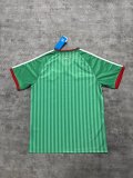 Mens Algeria Away Jersey FIFA World Cup 2026