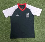 Mens Mexico Pre-Match Short Training Grey Jersey FIFA World Cup 2026
