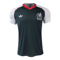 Mens Mexico Pre-Match Short Training Grey Jersey FIFA World Cup 2026