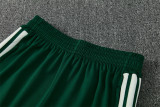 Mens Algeria Training Suit Green 2026