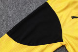 Mens Borussia Dortmund Training Suit Yellow 2025/26