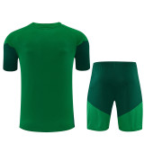 Mens Algeria Short Training Suit Green 2026