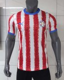 Mens Paraguay Home Jersey FIFA World Cup 2026